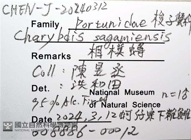 相模蟳藏品圖，第16張