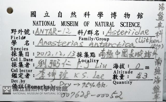 南極海盤車藏品圖，第16張