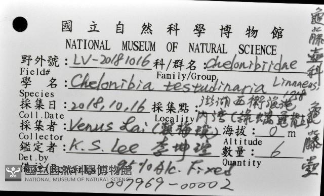 龜藤壺藏品圖，第16張