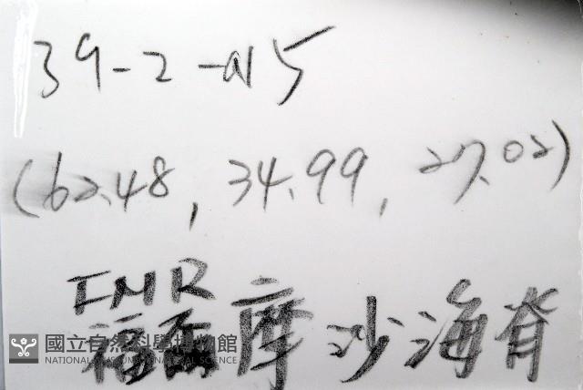 平端深海殼菜蛤藏品圖，第6張