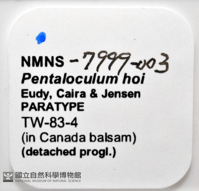 新種葉槽絛蟲藏品圖，第6張