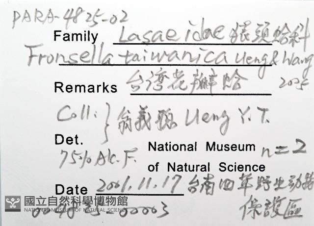 臺灣花瓣蛤藏品圖，第6張