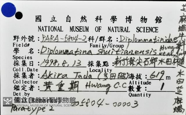 水田芝麻蝸藏品圖，第6張
