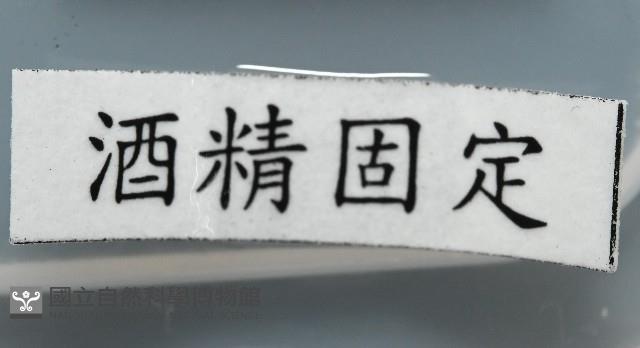 登錄號:004961-00119藏品圖，第6張