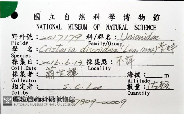 青蚌藏品圖，第6張