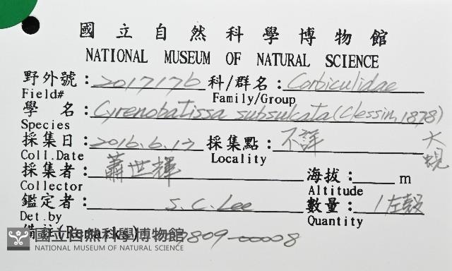 大蜆藏品圖，第6張