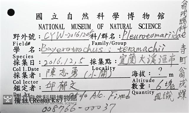 寺町翁戎螺藏品圖，第6張