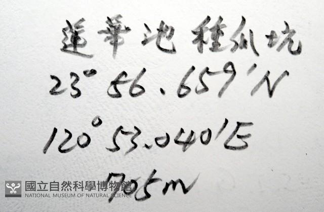 條紋木球馬陸藏品圖，第6張
