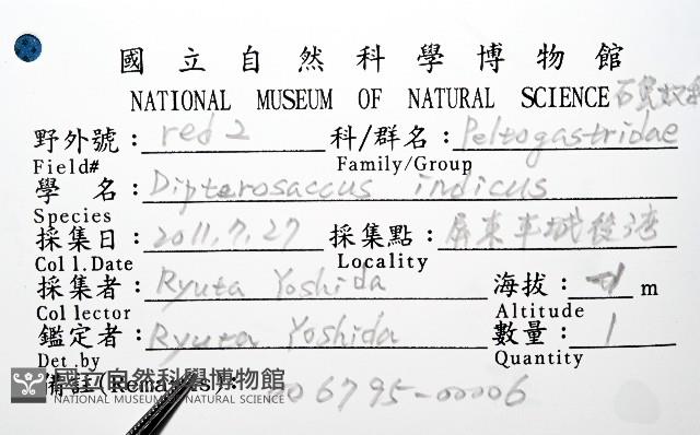蛣蟹奴之一種藏品圖，第6張
