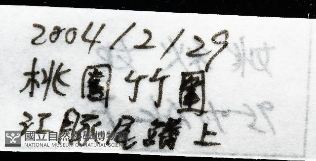 外藤壺藏品圖，第6張