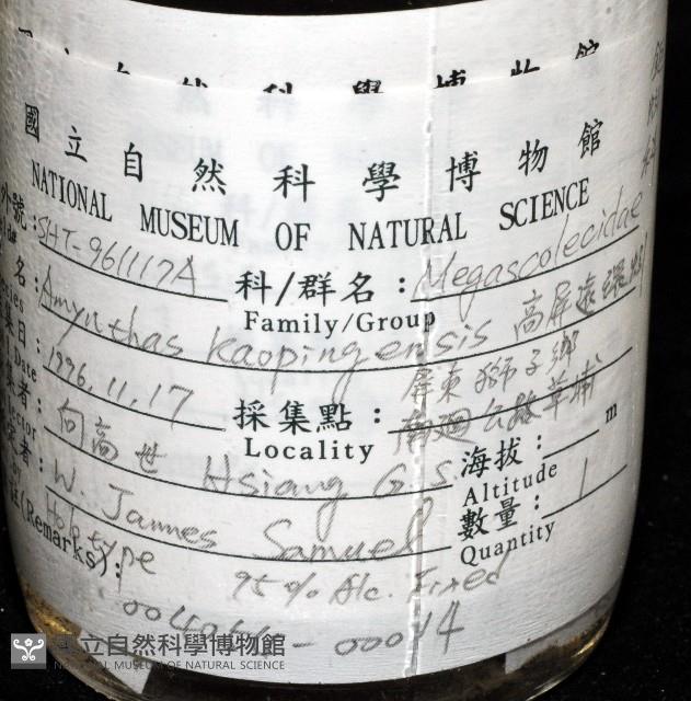 高屏遠環蚓藏品圖，第6張