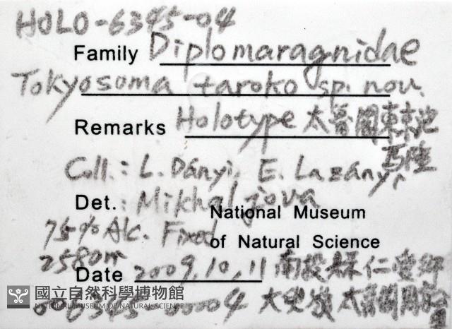 太魯閣東京泡馬陸藏品圖，第6張