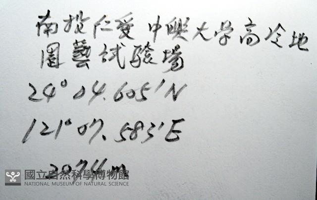 條紋木球馬陸藏品圖，第6張