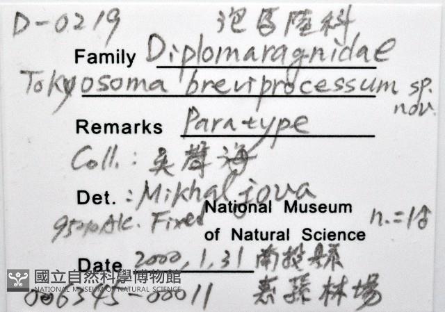 新種東京泡馬陸藏品圖，第6張