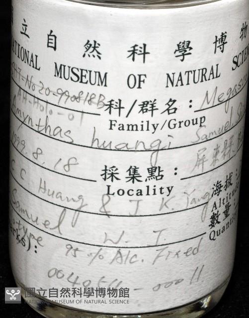 黃氏遠環蚓藏品圖，第6張