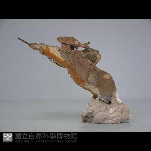 金山寺藏品圖，第7張