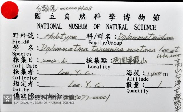 高山台灣芝麻蝸牛藏品圖，第6張