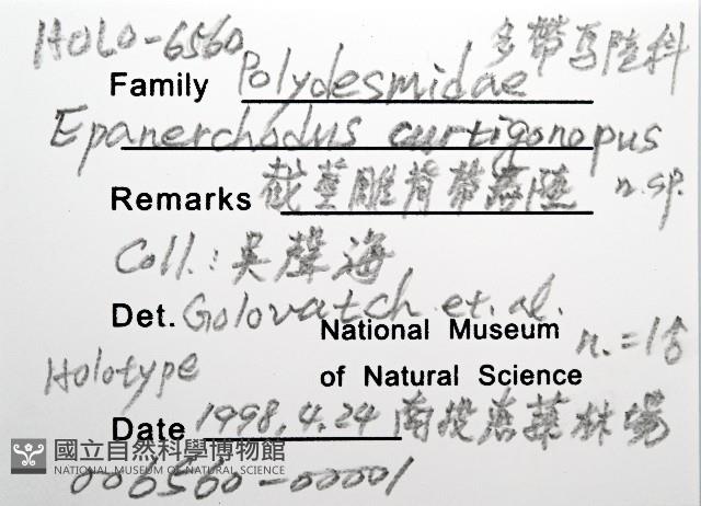 截莖雕背帶馬陸藏品圖，第6張