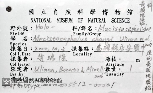 張氏長頭地蜈蚣藏品圖，第6張