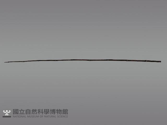 五年祭刺球架模型藏品圖，第6張