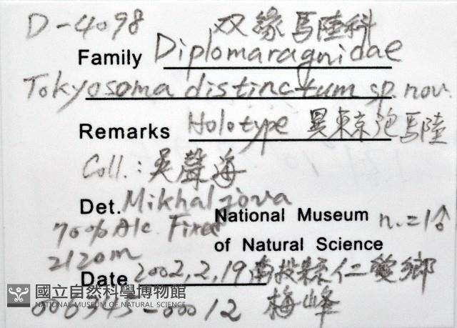 異東京泡馬陸藏品圖，第6張