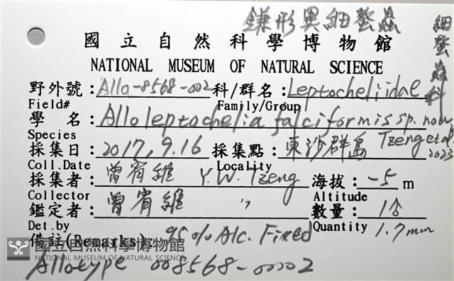 鐮形異細螯蟲藏品圖，第6張