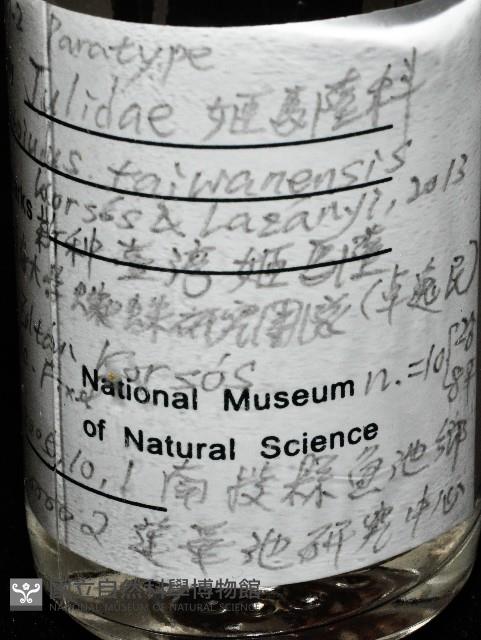 新種臺灣姬馬陸藏品圖，第6張
