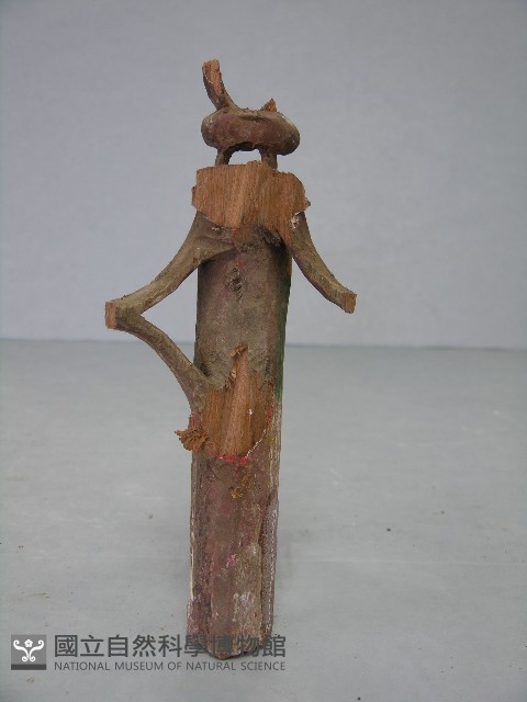 八角斗藏品圖，第56張