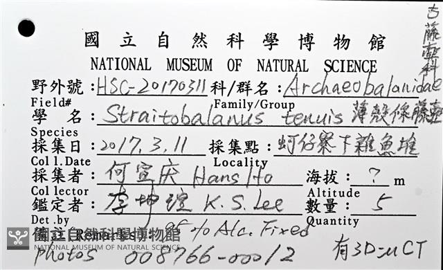 薄殼藤壺藏品圖，第26張