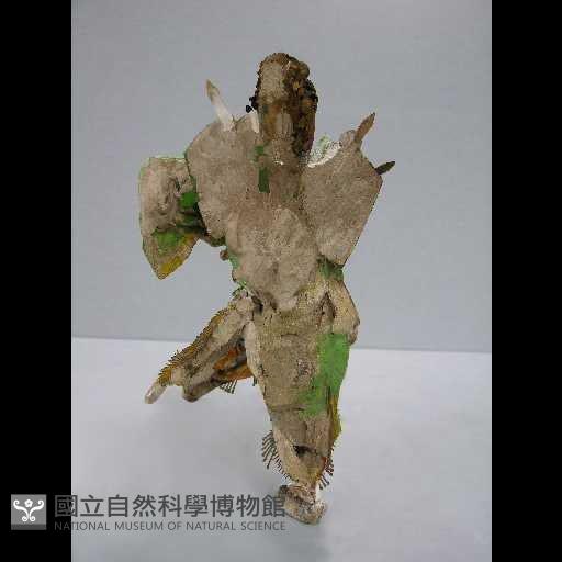 金山寺藏品圖，第19張