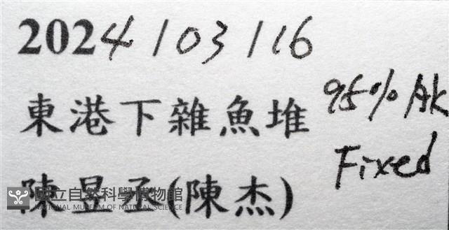 近似宦蝦藏品圖，第19張