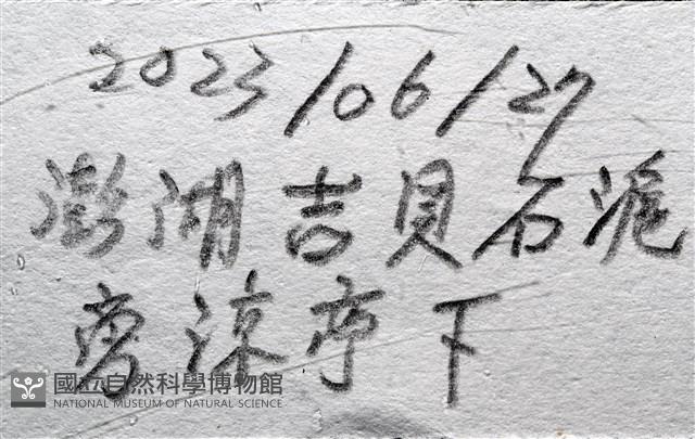 漁舟蜑螺藏品圖，第9張