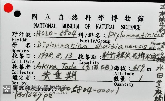 水田芝麻蝸藏品圖，第9張