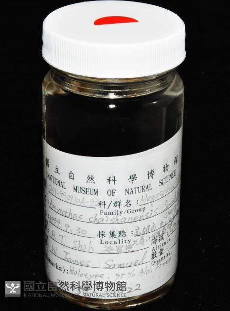 柴山遠環蚓藏品圖，第9張