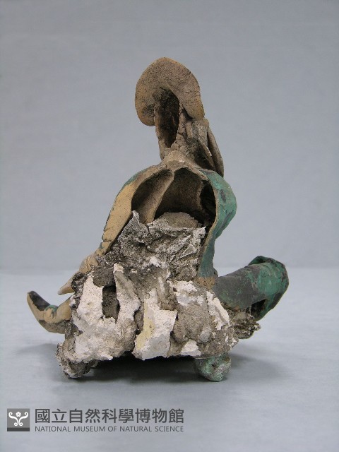 八角斗藏品圖，第159張