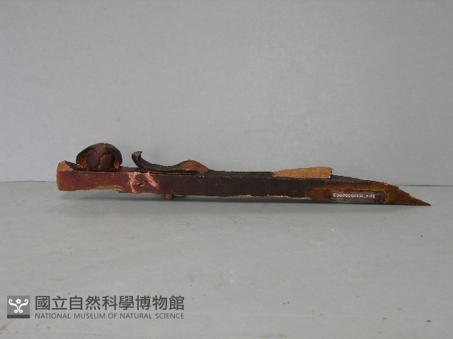 八角斗藏品圖，第29張