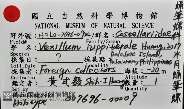 水月蛹筆螺藏品圖，第11張