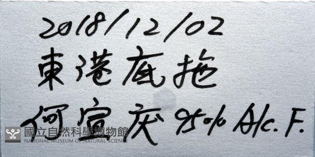 道氏深水虱藏品圖，第11張