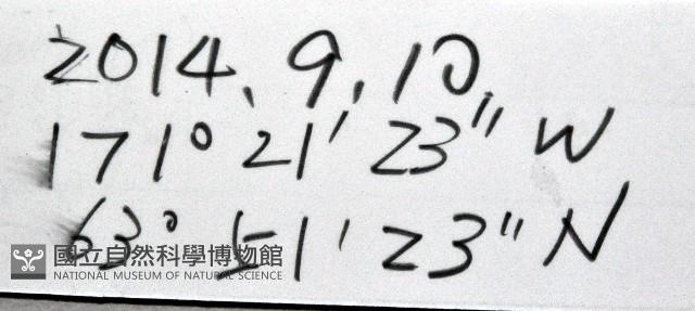 未知種海盤車藏品圖，第11張