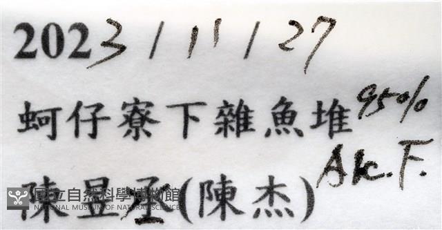 頑強(勝利)黎明蟹藏品圖，第11張