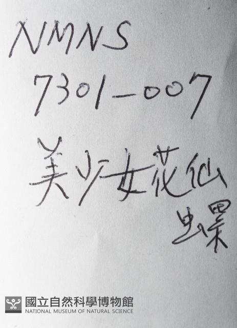 美少女花仙螺藏品圖，第11張