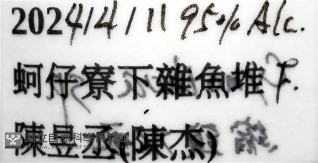 未知種縮頭水虱藏品圖，第11張