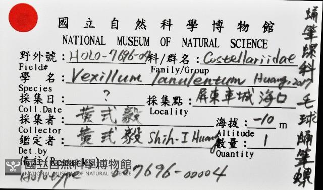 毛球蛹筆螺藏品圖，第11張