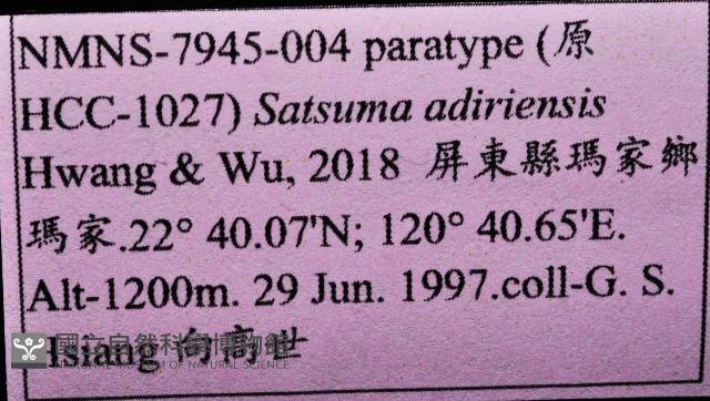 阿禮高腰蝸牛藏品圖，第11張