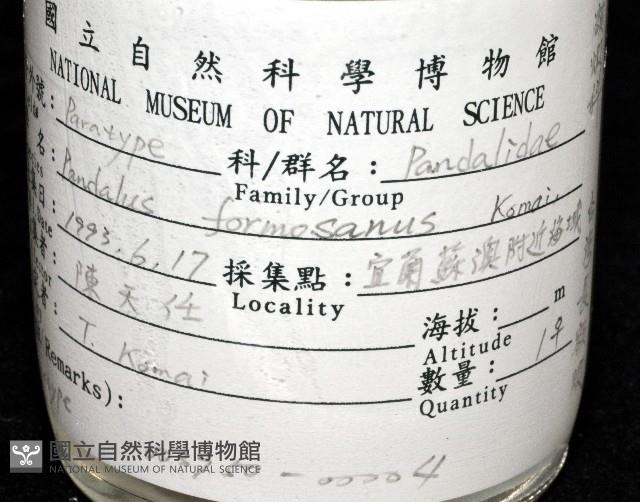臺灣長額蝦藏品圖，第11張