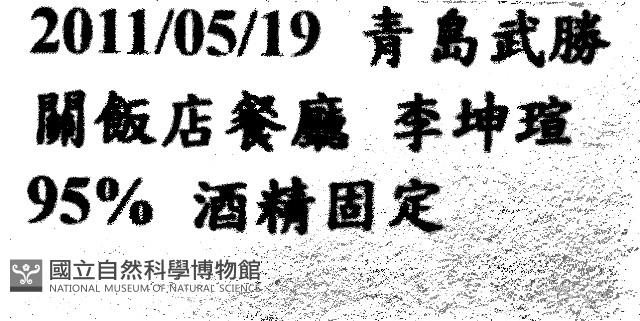 海刺蝟藏品圖，第11張