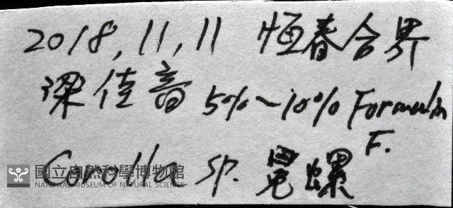 冕螺藏品圖，第11張