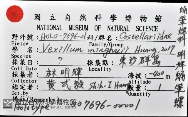 明輝蛹筆螺藏品圖，第11張