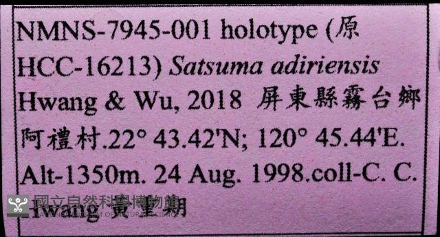 阿禮高腰蝸牛藏品圖，第11張