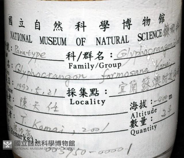 臺灣鐮蝦藏品圖，第11張